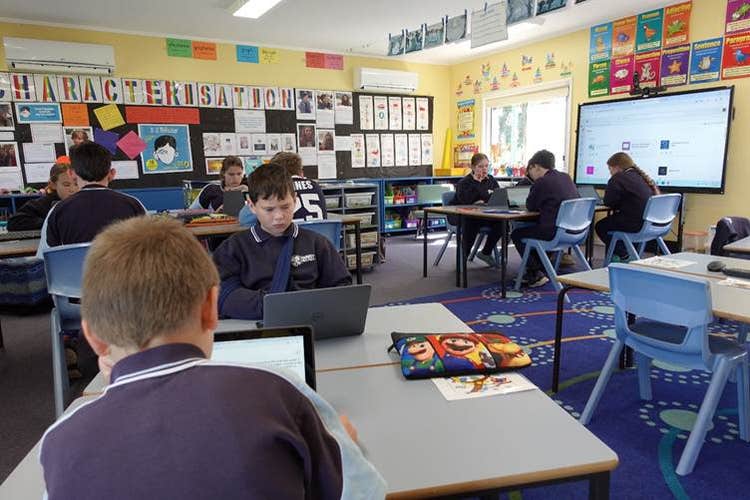 Students in the primary class working on laptops
