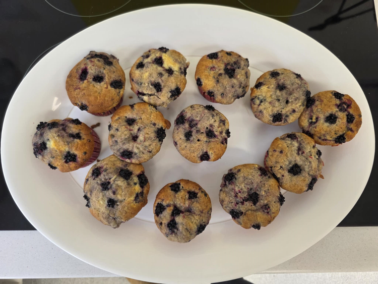 Fresh blueberry muffins