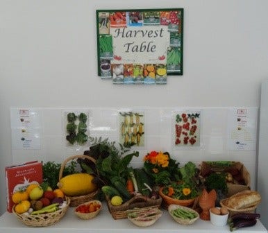 The harvest table. Table with baskets of fresh vegetables placed on top