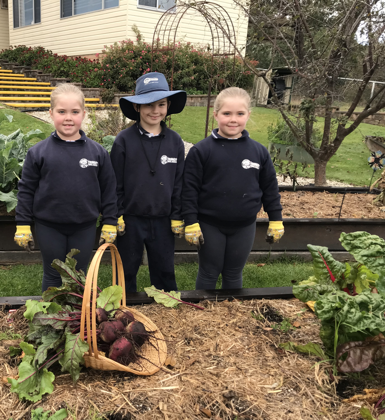 3 Trunkey Public School students standing in the garden with a basket of fresh beetroot.